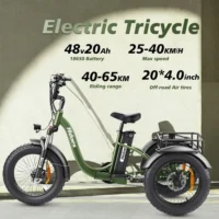 Hidoes ET1 Electric Tricycle in army green with rear basket