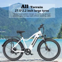 Hidoes BN1 Electric Bike with 800W Motor and 48V Battery