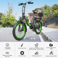 Hidoes C1 Electric Bike with 20-inch frame and fat tires